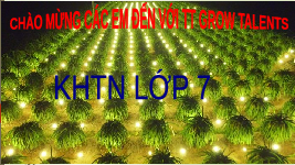 Giáo án điện tử Khoa học tự nhiên 7 bài 24 Chân trời sáng tạo : Thực hành Chứng minh quang hợp ở cây xanh