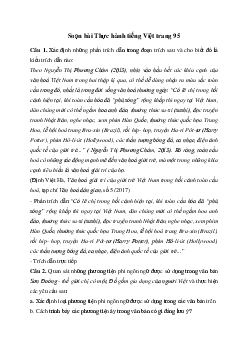 Thực hành tiếng Việt trang 95 | Soạn văn 11 Chân trời sáng tạo