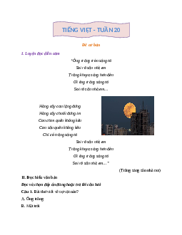 Phiếu Bài tập cuối tuần tiếng Việt lớp 2 học kì 2 | Kết nối tri thức Tuần 20 cơ bản