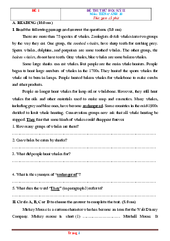 Bộ đề thi học kỳ 2 Tiếng Anh 10 năm học 2020-2021 (có đáp án)