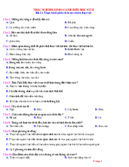 Trắc nghiệm môn Sinh 6 cánh diều học kỳ 2 (có đáp án)