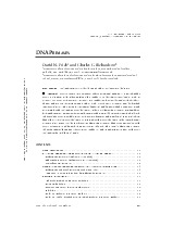 DNA Primases - Tài liệu môn Sinh học phân tử | Đại học Huế