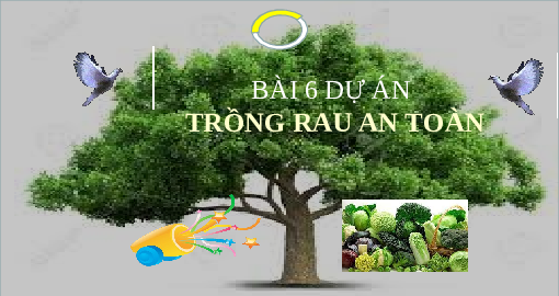 Giáo án điện tử Công nghệ 7 Bài 6 Kết nối tri thức: Dự án trồng rau an toàn