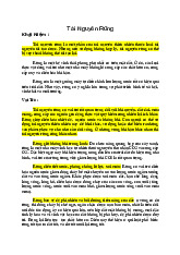 Tài Nguyên Rừng: Khái Niệm, Vai Trò và Phân Loại Chi Tiết