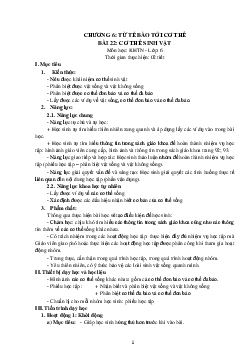 Giáo án Khoa học tự nhiên 6 sách Kết nối tri thức với cuộc sống Bài 22