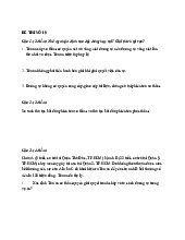 Đề Kiểm Tra Luật Tố Tụng Dân Sự - Đề Thi Số 19 - 2023 | Đại học Văn Lang