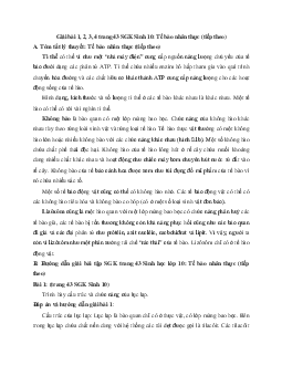 Giải bài tập trang 43 SGK Sinh học lớp 10: Tế bào nhân thực (tiếp theo)