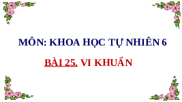Giáo án điện tử Khoa học tự nhiên 6 bài 25 Chân trời sáng tạo : Vi khuẩn