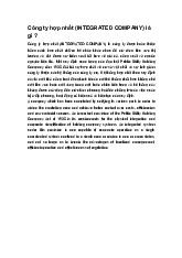 Công ty hợp nhất (INTEGRATED COMPANY) là gì ?