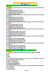 Đề Cương Ôn Tập Học Kỳ 1 Lịch Sử 11 Cánh Diều 2025-2026