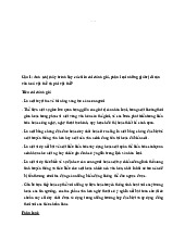 Top 5 câu hỏi tự luận về văn hoá du lịch Việt Nam | môn Văn hoá trong kinh doanh | trường Đại học Huế