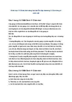 Sinh học 11 Chân trời sáng tạo bài Ôn tập chương 2: Cảm ứng ở sinh vật