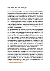 Đặc điểm của bào tử là gì?