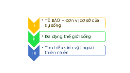 Giáo án điện tử Khoa học tự nhiên 6 bài 17 Chân trời sáng tạo : Tế Bào