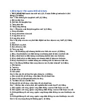 14 đề thi học kì 1 môn Tin học lớp 3 năm 2025 - 2026 Có đáp án