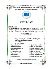 Tiểu luận Phân tích và đánh giá chiến lược của Công ty Cổ phần sữa Việt Nam Vinamilk | Đại học Kinh tế Thành phố Hồ Chí Minh