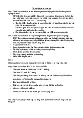 TOP 41 câu hỏi ôn tập tự luận học phần Quản trị nhân lực | Trường Đại học Phenikaa