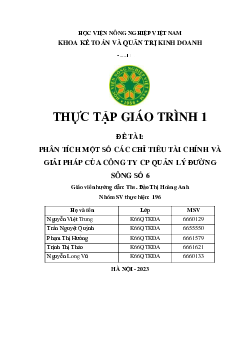 Thực tập giáo trình 1 - Phân tích một số các chỉ tiêu tài chính và giải pháp của Công ty CP Quản Lý Đường Sông  số 6 | Học viện Nông nghiệp Việt Nam