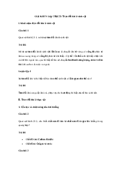 Giải Khoa học tự nhiên 7 Bài 23: Trao đổi khí ở sinh vật | Cánh diều
