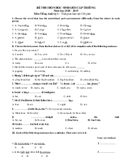 Đề thi học sinh giỏi lớp 6 môn Tiếng Anh năm học 2018 - 2019 số 9