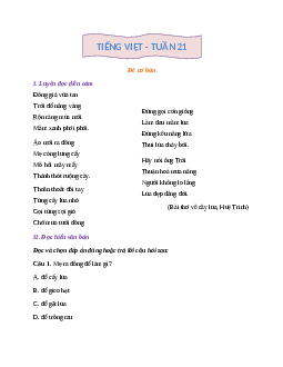Phiếu Bài tập cuối tuần tiếng Việt lớp 2 học kì 2 | Kết nối tri thức Tuần 21 cơ bản
