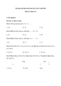 Đề kiểm tra cuối tuần Toán lớp 2 Cánh Diều - Tuần 11 (nâng cao)