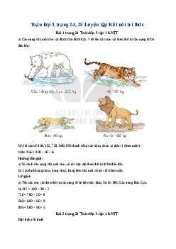 Giải SGK môn Toán 3 -  Bài 8 Luyện tập chung| Kết nối tri thức