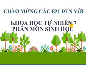 Bài giảng điện tử môn Khoa học tự nhiên 7  Sinh Học Bài 36: Khái quát về sinh trưởng và phát triển ở sinh vật | Kết nối tri thức