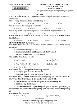 Đề thi giữa kỳ 1 Toán 6 năm 2020 – 2021 trường THCS Tam Hồng – Vĩnh Phúc