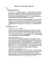 Tiểu luận môn Chủ nghĩa xã hội khoa học  trường đại học kinh tế thành phố Hồ chí minh