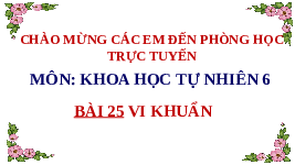 Giáo án điện tử Khoa học tự nhiên 6 bài 25 Chân trời sáng tạo : Vi khuẩn