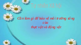 Giáo án điện tử Tự nhiên và Xã hội 2 Bài 18 Kết nối tri thức: Cần làm gì để bảo vệ môi trường sống của thực vật và động vật?