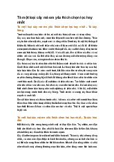 Tả một loại cây mà em yêu thích chọn lọc hay nhất