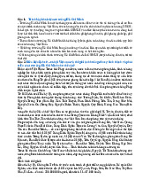 Câu hỏi tự luận Môn Tư tưởng Hồ Chí Minh | Đại học Fulbright Việt Nam