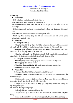 Giáo án KHTN 7 kết nối tri thức bài 39: Sinh sản vô tính ở sinh vật
