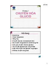 Chương 4 Chuyển Hóa Glucid: Các Con Đường Chính | Bài giảng hóa sinh