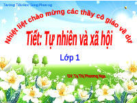 Giáo án điện tử Tự nhiên và xã hội 1 bài 12 Chân trời sáng tạo : Chăm sóc, bảo về, cây trồng và vật nuôi