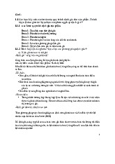 Bài Kiểm Tra Marketing Căn Bản: Quy Trình Định Giá & Chính Sách Giá | Trường Đại học Thương Mại