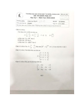 Đề thi giữa HKI học phần Toán cao cấp 1C năm 2024 - 2025 | Trường Đại học Khoa học tự nhiên, Đại học Quốc gia Thành phố Hồ Chí Minh