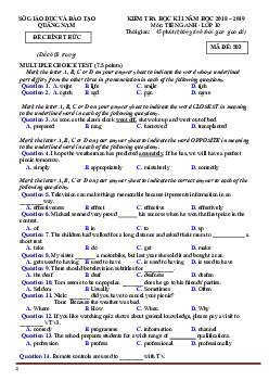 Đề thi học kỳ 1 môn Tiếng Anh lớp 10 Quảng Nam 2018-2019 (có đáp án)