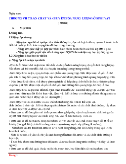 Giáo án KHTN 7 kết nối tri thức ôn chương 7: Trao đổi chất và chuyển hóa năng lượng ở sinh vật