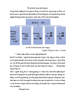 Tổ chức bộ máy của công ty?