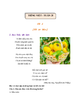 Giải Bài tập cuối tuần lớp 4 môn Tiếng Việt Chân trời sáng tạo - Tuần 25 (Nâng cao)