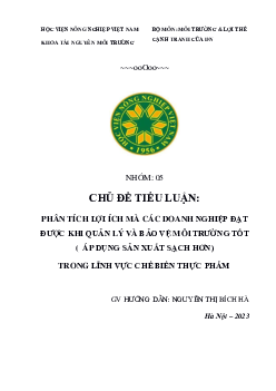 Tiểu luận | Phân tích lợi ích mà các doanh nghiệp đạt được khi quản lý và bảo vệ môi trường tốt (áp dụng sản xuất sạch hơn) trong lĩnh vực chế biến thực phẩm | Học viện Nông nghiệp Việt Nam