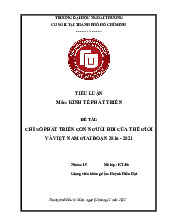 Tiểu Luận Kinh Tế Phát Triển: Phân Tích HDI Việt Nam 2016-2021