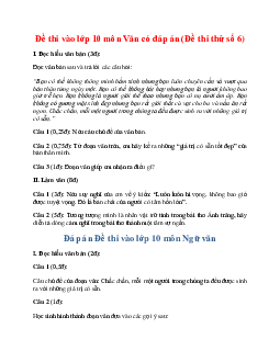 Đề thi vào lớp 10 môn Văn có đáp án (Đề thi thử số 6)