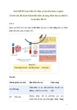 Giải KHTN 8 Bài 30: Máu và hệ tuần hoàn ở người | Cánh diều