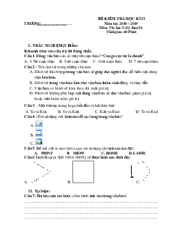 Đề thi học kì 2 môn Tin học lớp 5 - Số 5