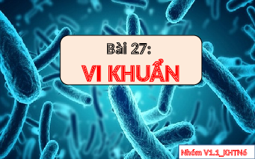 BÀI 27. Vi khuẩn | Bài giảng PowerPoint Khoa học tự nhiên 6 | Kết nối tri thức