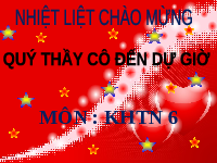 Giáo án điện tử Khoa học tự nhiên 6 bài 48 Kết nối tri thức : Sự chuyển hóa năng lượng